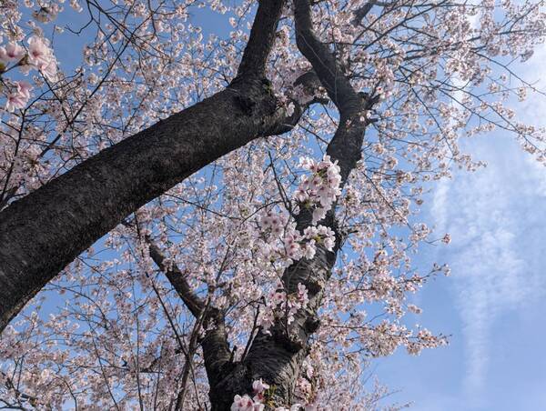 line_oa_chat_260409_100008_group_0_コピー_コピー