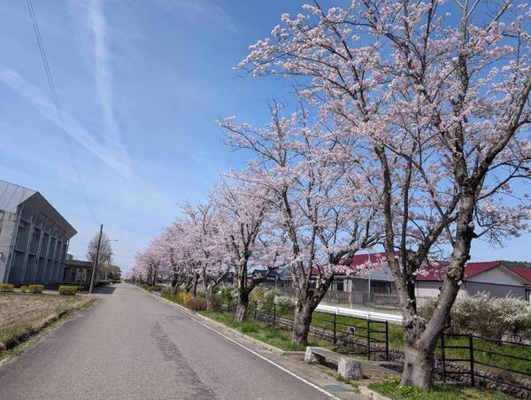 line_oa_chat_260409_100008_group_2_コピー