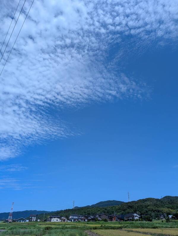 line_oa_chat_260819_133658_コピー